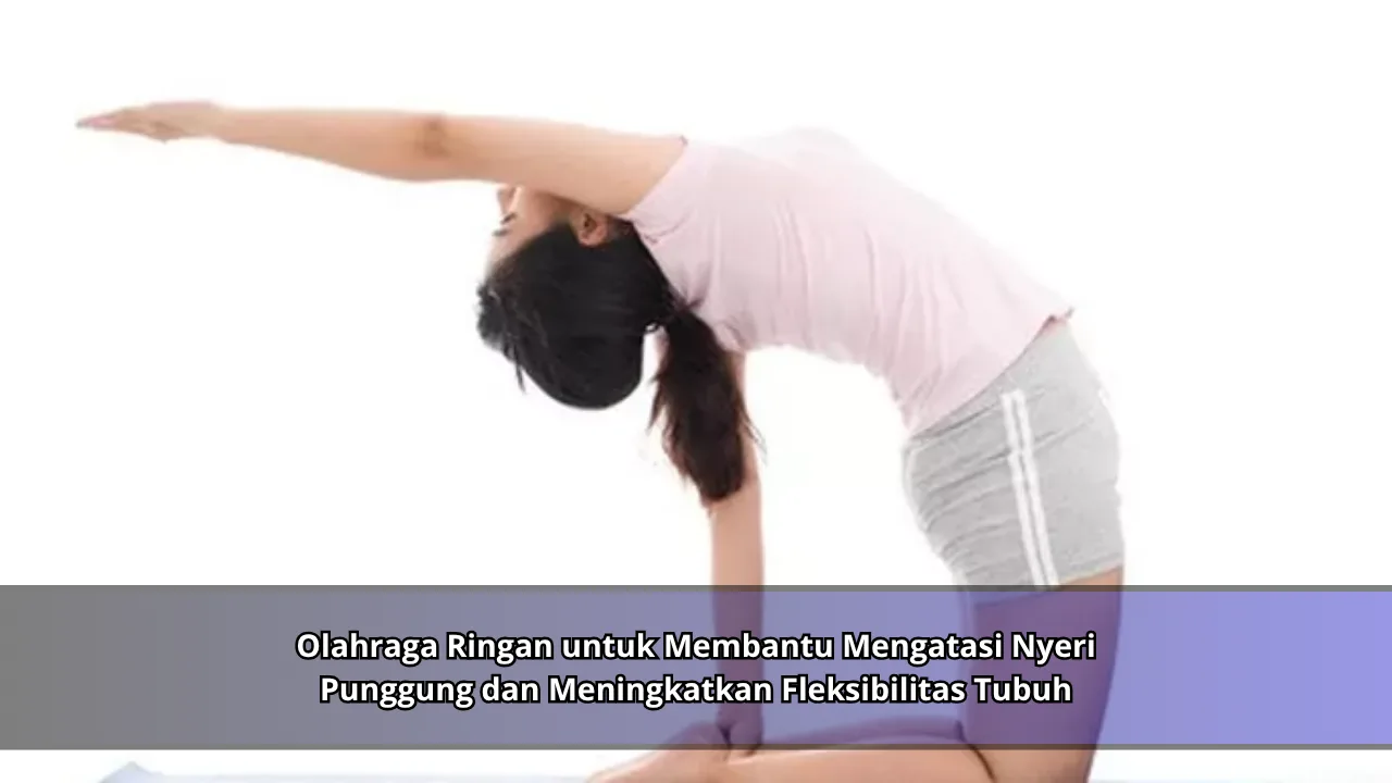 Olahraga Ringan untuk Membantu Mengatasi Nyeri Punggung dan Meningkatkan Fleksibilitas Tubuh